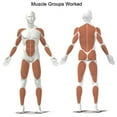 thumbnail image 3 of Kettler Coach E Rower, 3 of 3