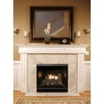 thumbnail image 2 of Empire DVCD42FP31P MV Propane Fireplace with Log Set, Blower, 2 of 2