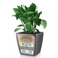 thumbnail image 4 of Lechuza USA 17" Black Quadro Planter with Water Reservoir, 4 of 7