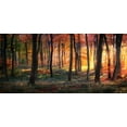 thumbnail image 2 of Photokes 18x11 White Modern Wood Framed Museum Art Print Titled - Autumn Woodland Sunrise, 2 of 4