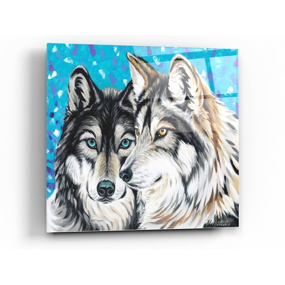 Epic Art 'Grey Wolf I' by Carolee Vitaletti Acrylic Glass Wall Art, 24"x24"