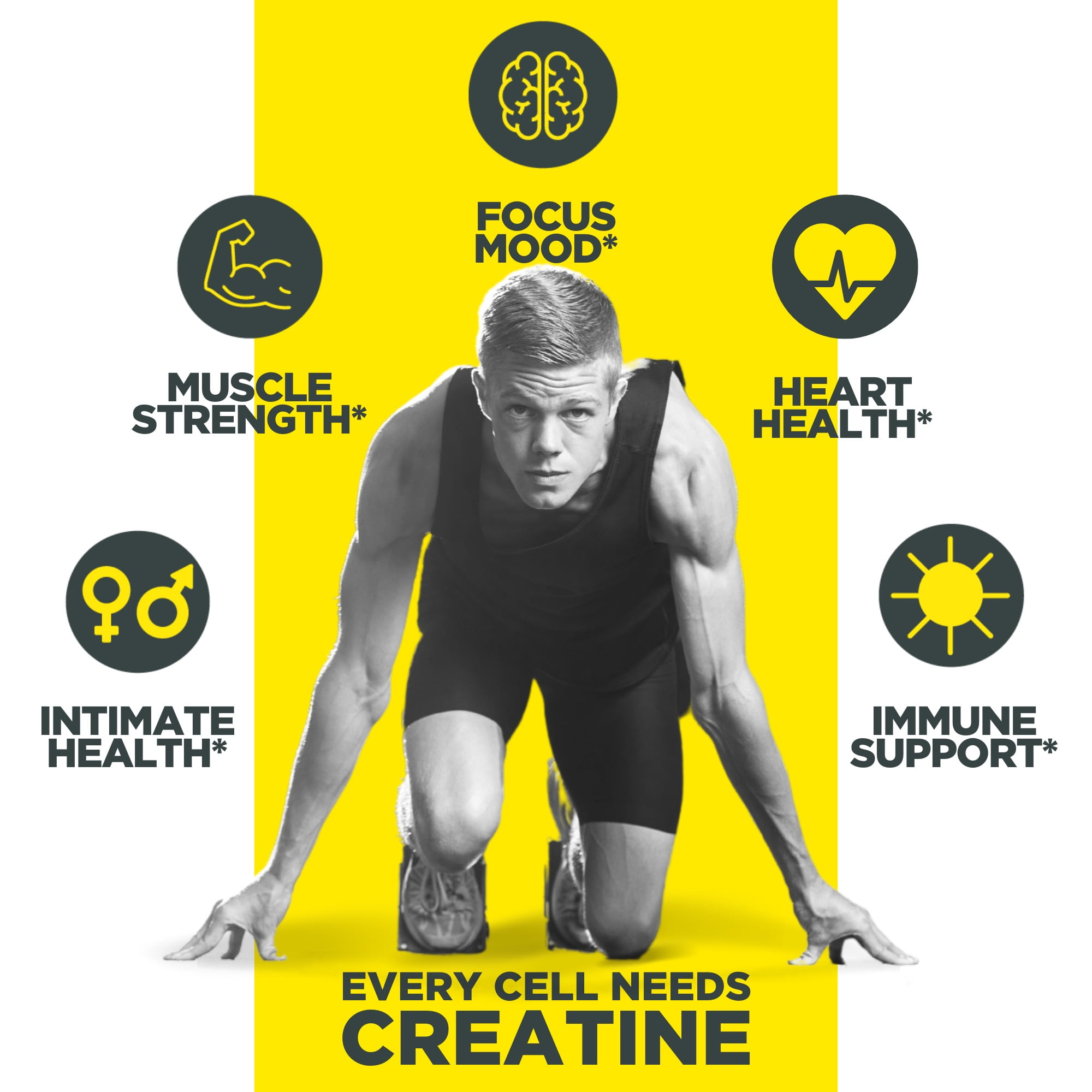 CON-CRET Patented Creatine HCl Lemon Lime Powder, Workout Supplement, 48 Servings