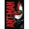 Marvel Cinematic Universe - Ant-Man - Helmet Wall Poster, 22.375" x 34"