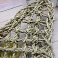 thumbnail image 5 of Bearded Dragon Tank Accessories, Include Reptile Mat Hammock Plants Bridge Jungle Climber Vines Terrarium Decorations for Bearded Dragon Lizard Snake, 5 of 9