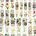 thumbnail image 3 of simhoa 30 Pieces Scrapbooking Stickers, Diary Paper Note Stickers Seal Journal Stickers H, 3 of 4