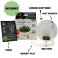 thumbnail image 3 of Microgreens Growing Kit Mountain Valley Seed Salad Mix, 3 of 7