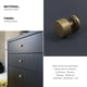 thumbnail image 1 of QUTETN 6 Pack Vintage Cabinet Knobs Antique Brass Finish Zinc Alloy Drawer Handles - Classic Dresser Pulls for Kitchen Cabinets, Closets, Home Improvement Hardware, 1 of 4