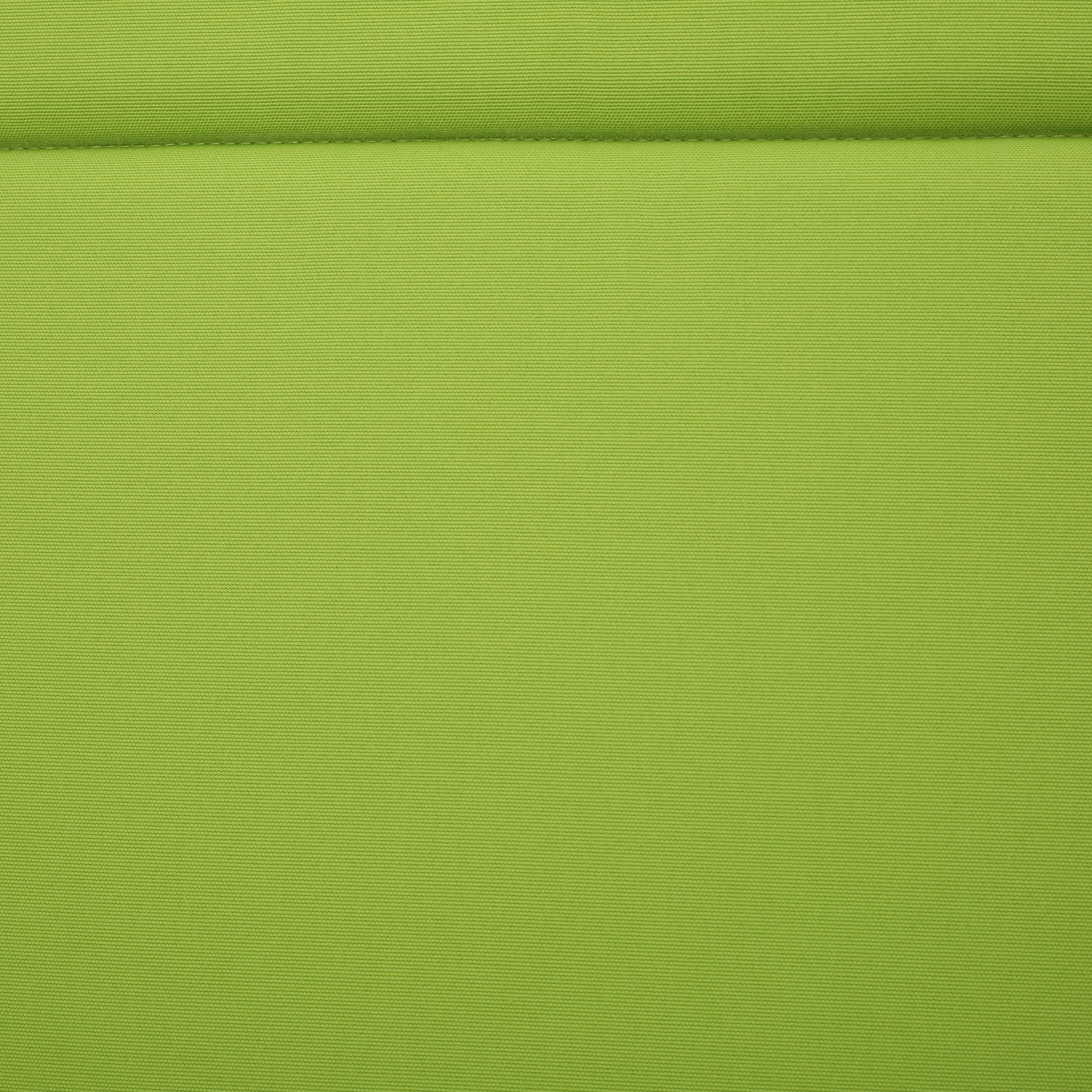Anthony Outdoor Chaise Lounge Cushion, Green