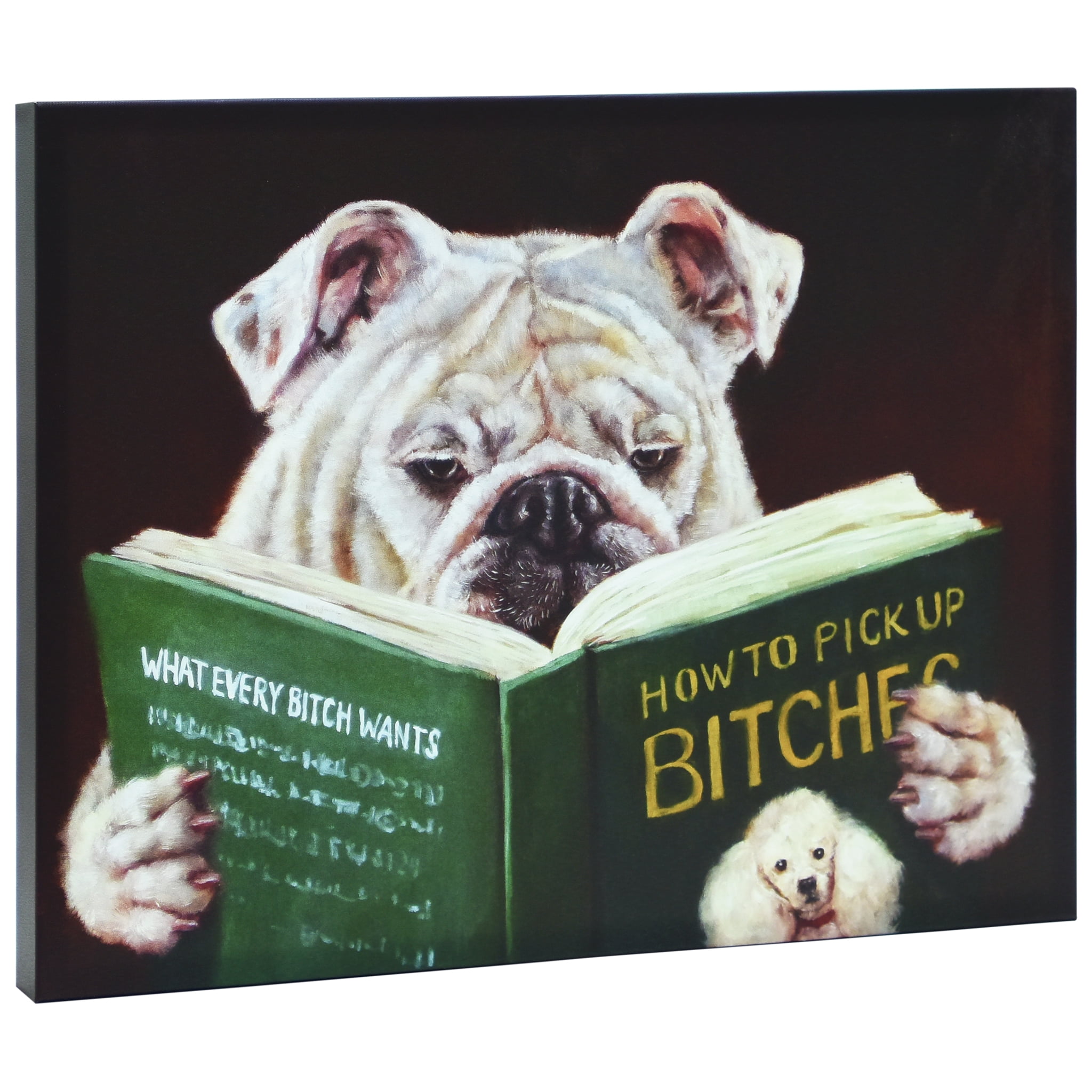 Empire Art Direct Casanova Graphic Art Print on Wrapped Dog Canvas Wall Art, 16" x 20" x 2", Ready to Hang