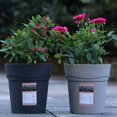 thumbnail image 2 of EIMELI  Transplant Flower Pots Balcony Decor Grow Box  Shape Durable Plastic Resin With Tray 1Pcs, 2 of 16
