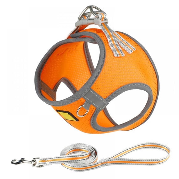 AMERTEER Dog and Cat Universal Harness with Leash - Cat Harness Escape Proof - Adjustable Reflective Step in Dog Harness for Small Dogs Medium Dogs - Soft Mesh Comfort