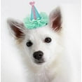 thumbnail image 2 of Dog, Puppy  Pet Clip On Grooming Accessory, "Pretty Party Hat", 2 of 3