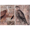 thumbnail image 1 of Benzara BM154114 Estampes d'Oiseaux Exotiques&44; Multicolore - Lot de 2, 1 of 1