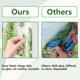thumbnail image 3 of Adhesivos para ventanas con plantas en maceta, cactus, hojas verdes, bonsáis de primavera, suculentas, no adhesivos, extraíbles, reutilizables, de doble cara., 3 of 9