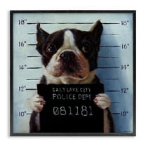 Stupell Industries Funny Boston Terrier Dog Jail Convicted Police Framed Wall Art, 24 x 24, Design by Lucia Heffernan