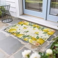 thumbnail image 2 of Vintage Lemon Doormat Outdoor Entrance 24"x36", Summer Fruit Rustic Botanical Floral Absorb Moisture Dirt Door Mats, Non-Slip Rubber Backing Floor Mats Indoor, Low-Profile Front Door Rugs, 2 of 9