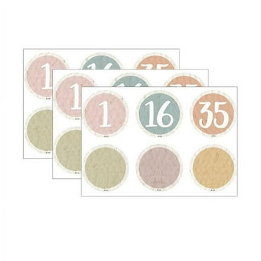 Teacher Created Resources Everyone is Welcome Numbers Magnetic Accents, 42 Per Pack, 3 Packs