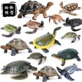 thumbnail image 1 of Simulation Ocean Animal Sea Turtle Series Model Action Figures Collection Miniature Cognition Creativity Toys for children GiftA114 He Qiyong unisex, 1 of 1