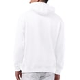 thumbnail image 2 of Men's Starter White San Francisco 49ers Stars & Stripes Graphic Hoodie, 2 of 3