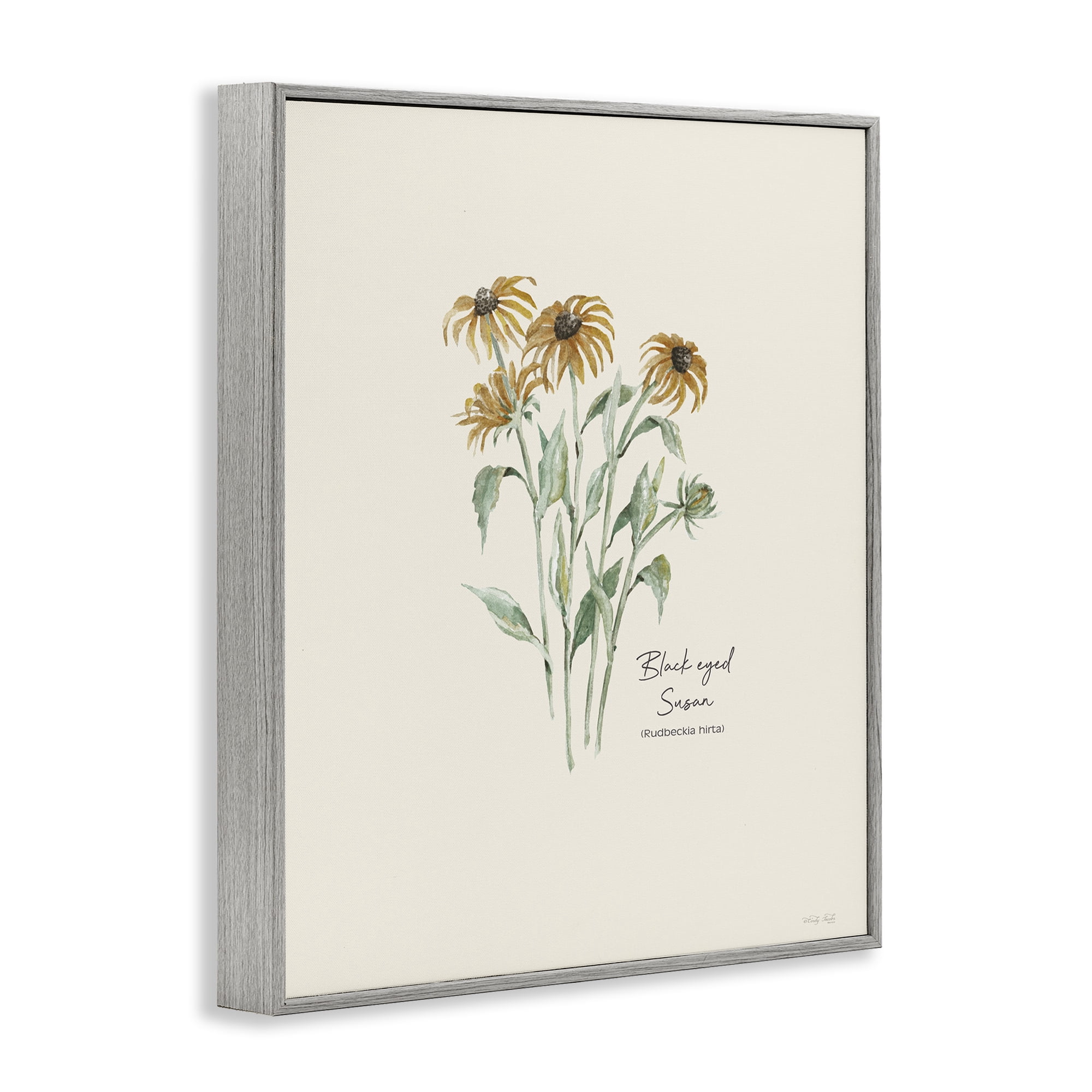 Stupell Industries Black Eyed Susans Botanical & Floral Painting Gray Framed Art Print Wall Art, 11 x 14