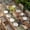 Brown Sage Green, variant on Texas Star Vintage Table Cloths for 5 Foot Rectangle Tables, Berry Sage Green Brown Wooden Patio Waterproof Elastic Fitted Tablecloths, Washable Rectangular Table Cover for Camping