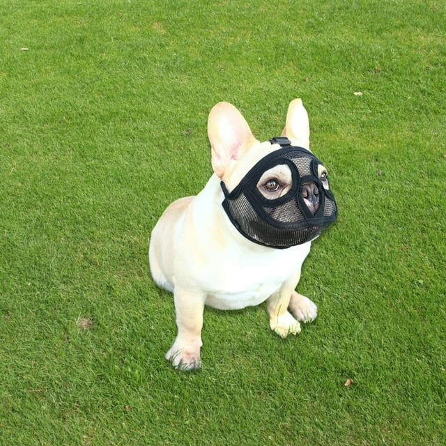 es de perro de hocico corto - de perro transpirable mordiscos dri y Masticación dri Entrenamiento - Full Mesh Colco Bozal para perros