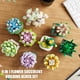 thumbnail image 5 of Set de juguetes de construcción TYCOLE Tiny Flowers Suculents 832 piezas, 5 of 7