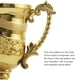 thumbnail image 2 of Trofeo Premio Oro Trofeos Ganador Plástico (L), 2 of 7