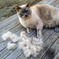 thumbnail image 5 of barkOutfitters Cat Slicker Brush - Quick Self-Cleaning Pro Quality Grooming Comb - 5 Year 100% Guarantee - Ergonomic Soft Grip Handle - Eliminates Mats & Tangles Shedding & Hairballs, 5 of 7