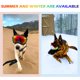 thumbnail image 5 of Gafas de sol para perros NICERINC PET con protección UV para perros grandes, 5 of 8