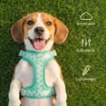 thumbnail image 5 of Oodles Smiley Squad Adjustable Mesh Dog Walking Harness, Green, Medium, 5 of 12