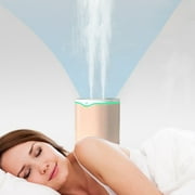 Dual-Hole Humidifier, Quiet Cool/Warm Mist for Bedroom, Plants, and Home Aromatherapy, 2L