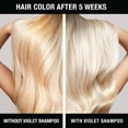 thumbnail image 3 of Pure Blends Violet Hydrating Color Depositing Shampoo Brighten & Tone Color Faded Hair Semi Permanent Hair Dye Prevents Color Fade Extend Color Service on Color Treated Hair 8.5 Oz., 3 of 6