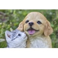 thumbnail image 4 of GOLDEN RETRIEVER & KITTEN, 4 of 4