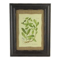 Raz 16.5" Botanic Beauty Decorative Euphorbia Dulcis Print with Burlap Accent Framed Wall Art