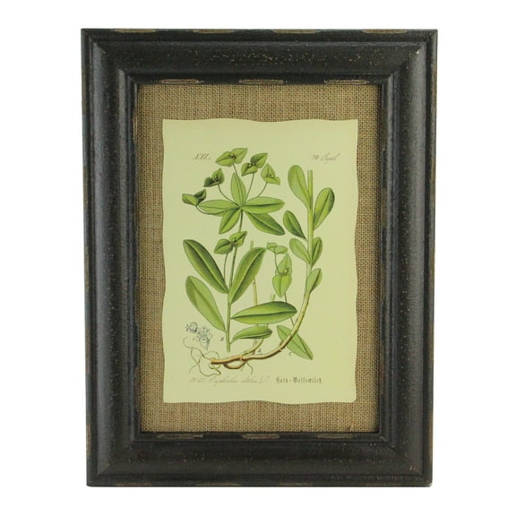 Raz 16.5" Botanic Beauty Decorative Euphorbia Dulcis Print with Burlap Accent Framed Wall Art