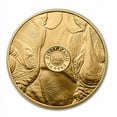thumbnail image 3 of 2022 South Africa 2-Coin Gold Krugerrand & Rhino Proof Set, 3 of 4