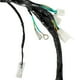 thumbnail image 3 of Arnes Electrico Italika FT 150 TS RODA 12V, 3 of 3