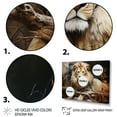 thumbnail image 3 of Designart "Lion composition Of Nature II" Animals Floater Framed Wall Decor, 3 of 7