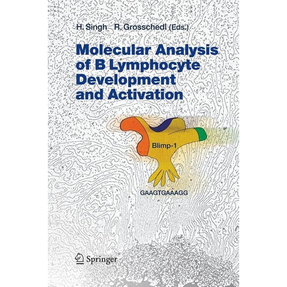 Current Topics in Microbiology and Immmu Molecular Analysis of B Lymphocyte Development and Activation, Book 290, (Paperback)