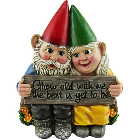DWK 5.75" Growing Old Together Garden Gnome Couple in Love Best Friends Collectible Statue for Indoor Outdoor Garden and Home Decor