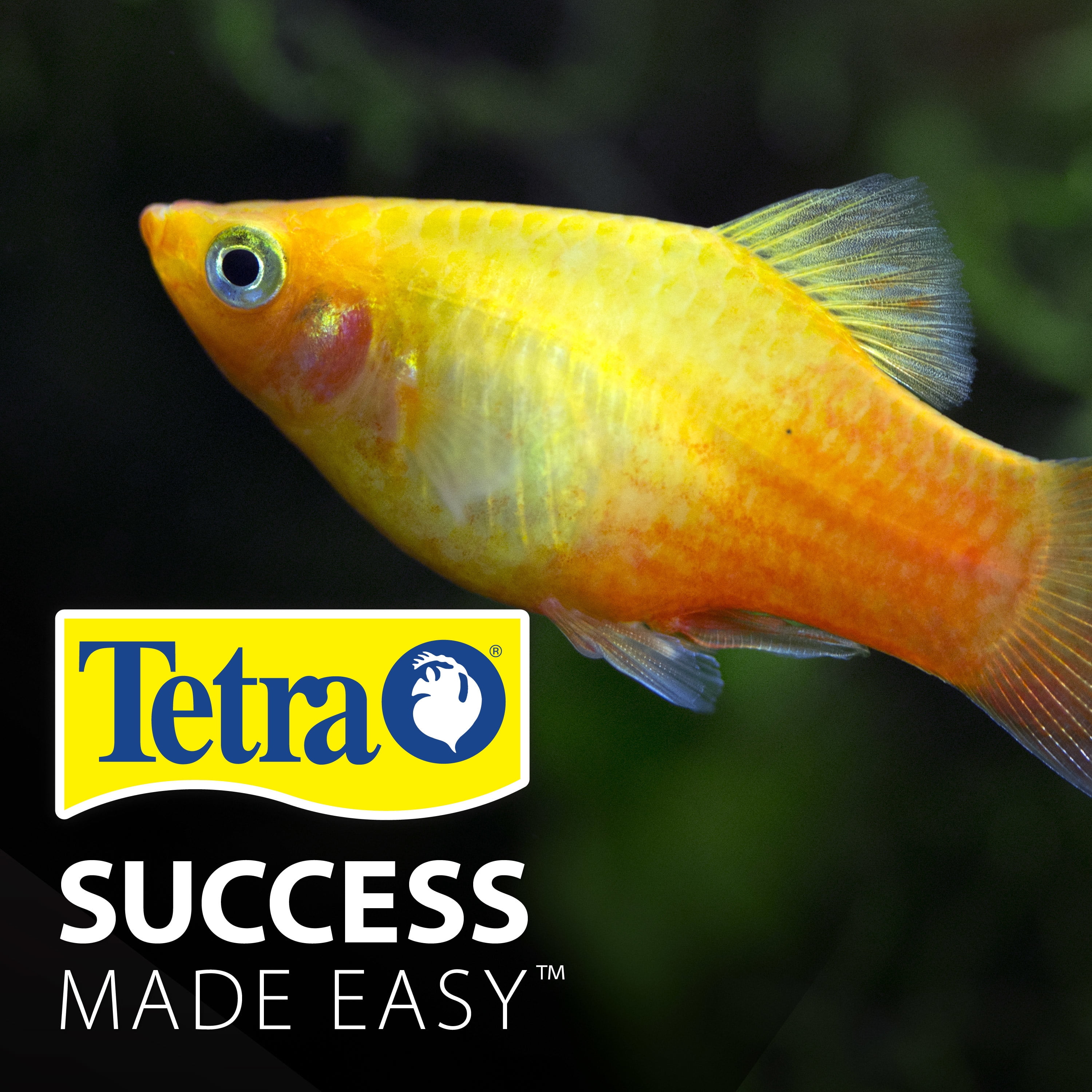 Tetra Tropical Color Flakes Fish Food, Clear Water Advanced Formula, 7.06 oz