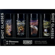 Lynyrd Skynyrd 4-Piece Shot Glass Set by Iconic