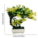 thumbnail image 2 of Simulated Welcome Potted Plants, Plastic Artificial Flowers, Peacock Trees, Bonsai Home Decoration, Simulated Plant Decorations, 2 of 2
