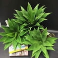 thumbnail image 3 of Moyic Decoración suculenta de agave: plantas simuladas realistas y de bajo mantenimiento, plantas verdes, lavables y duraderas, realistas Plantas Artificiales Agave Grande, 3 of 6