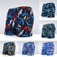 thumbnail image 2 of Men's Swimming Trunks Anti-glare Adult Plus Size Quick-drying Printed Boxer Shorts Seaside Holiday Hot Spring Anti-embarrassment Swimming Trunks, 2 of 2