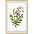 thumbnail image 2 of Sympathy Ferns Framed Painting Print, 2 of 6