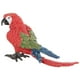 thumbnail image 1 of Mini loro modelo simulación loro figura decorativa loro adorno jardín decoración, 1 of 8