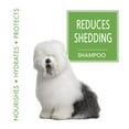 thumbnail image 2 of Four Paws Magic Coat Shed Reducing Dog Shampoo - 100550720, 2 of 5