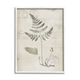 thumbnail image 4 of Stupell Industries Antique Fern Woodland Plant Study Botanical & Floral Drawing White Framed Art Print Wall Art, 4 of 5